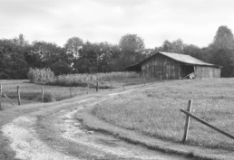 old Barn